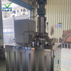 Stainless Steel Reactor-50-100L Lab Reactor Mixer