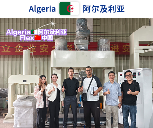 RTV Aluminum Automatic Filling Machine case